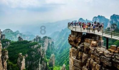 丽水经开区大型户外萌宠乐园开园啦！