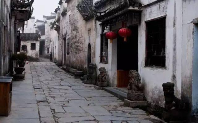 森系丛林